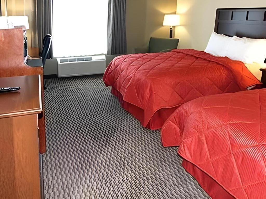Comfort Inn & Suites Madisonville Eksteriør billede