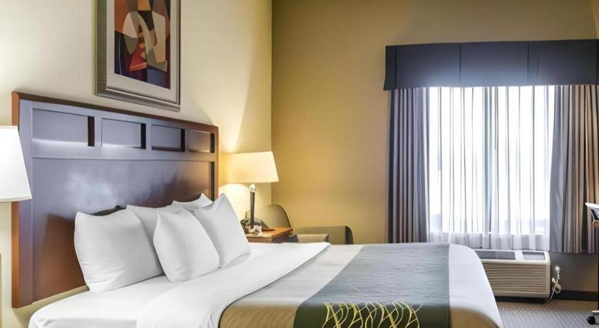 Comfort Inn & Suites Madisonville Eksteriør billede
